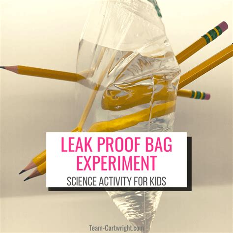 leak proof bag experiment|The Leakproof Bag